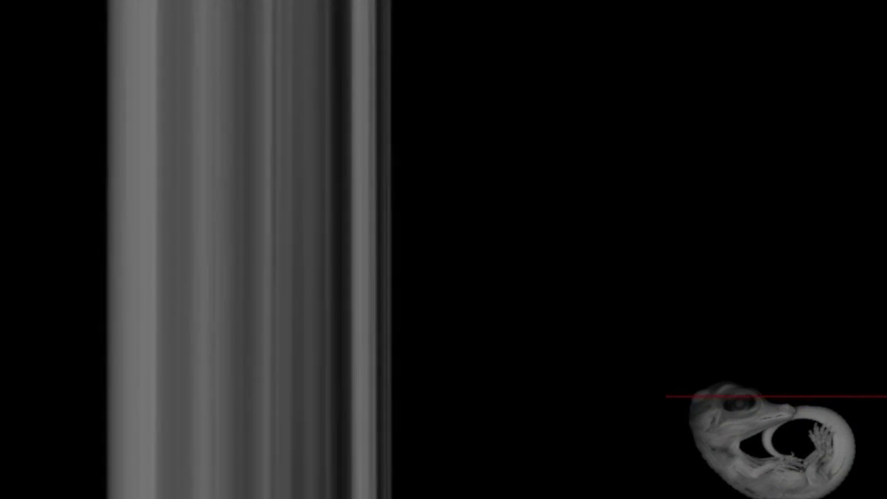 Calibration pattern on the floor